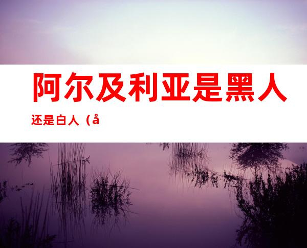 阿尔及利亚是黑人还是白人(埃及白人还是黑人)