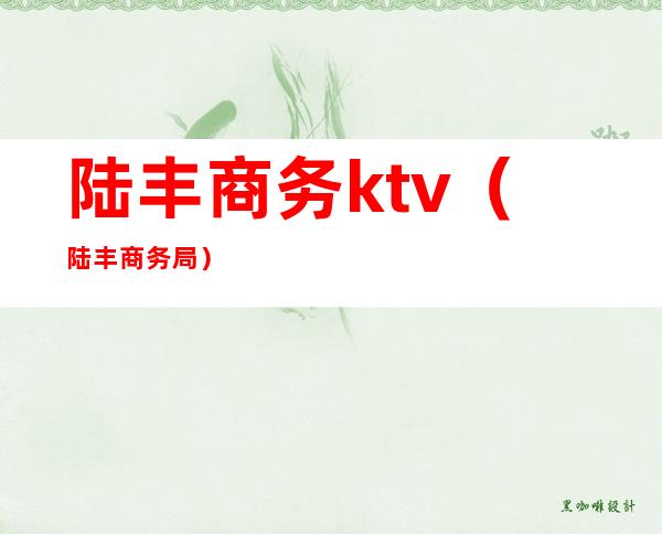 陆丰商务ktv(陆丰商务局)