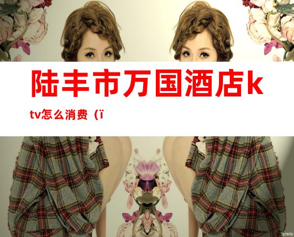 陆丰市万国酒店ktv怎么消费（）