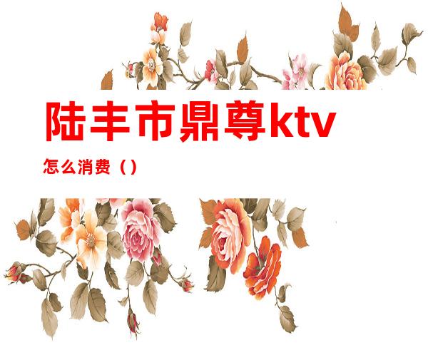 陆丰市鼎尊ktv怎么消费()