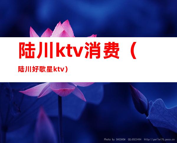 陆川ktv消费(陆川好歌星ktv)