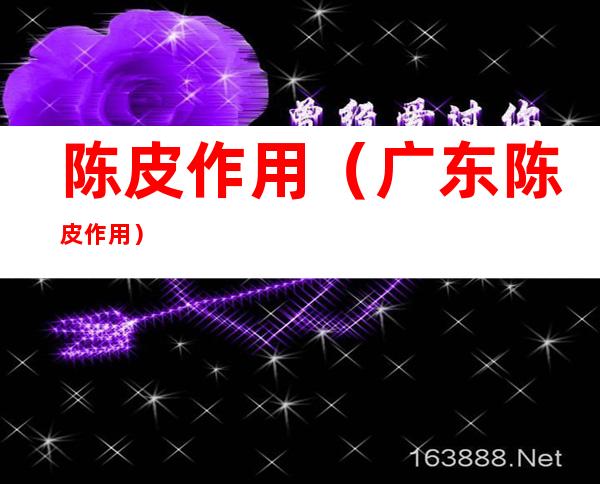 陈皮作用(广东陈皮作用)