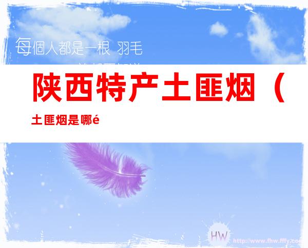 陕西特产土匪烟(土匪烟是哪里的特产)