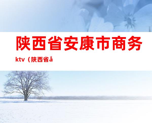 陕西省安康市商务ktv(陕西省安康市商务局)