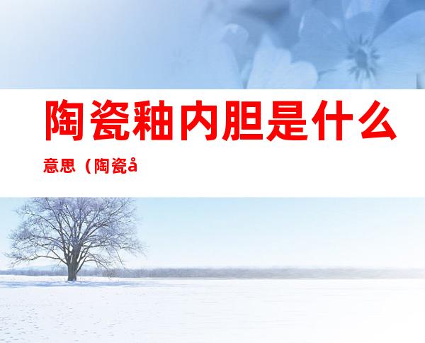 陶瓷釉内胆是什么意思(陶瓷内胆是什么样的)