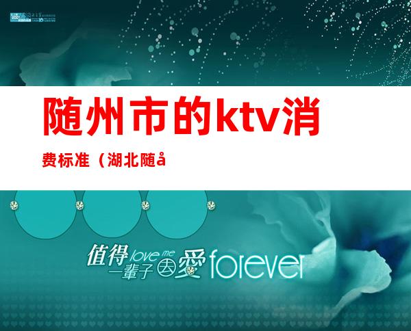 随州市的ktv消费标准（湖北随州ktv娱乐会所）