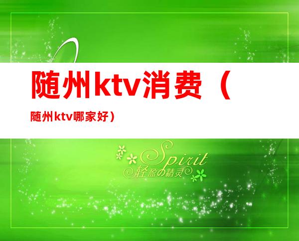 随州ktv消费(随州ktv哪家好)
