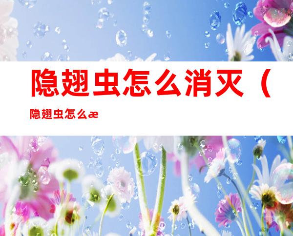 隐翅虫怎么消灭(隐翅虫怎么消灭干净)