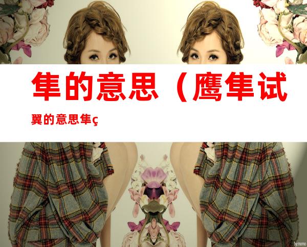 隼的意思(鹰隼试翼的意思隼的意思)