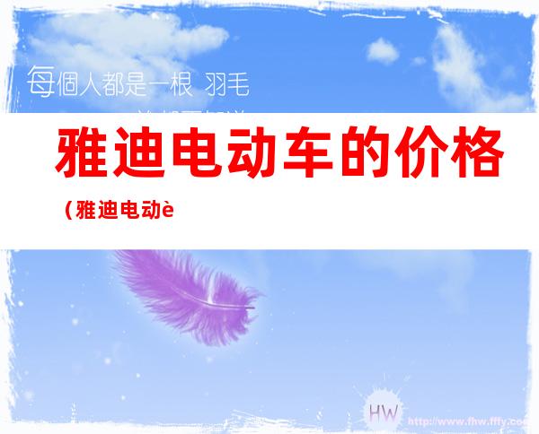 雅迪电动车的价格(雅迪电动车的价格 新款)