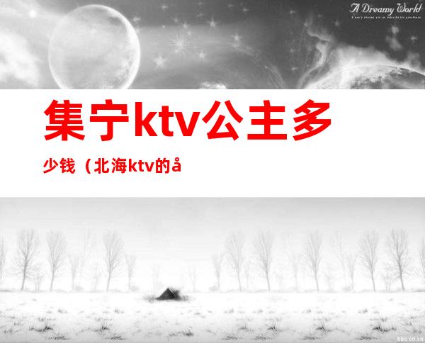 集宁ktv公主多少钱（北海ktv的公主多少钱一个）