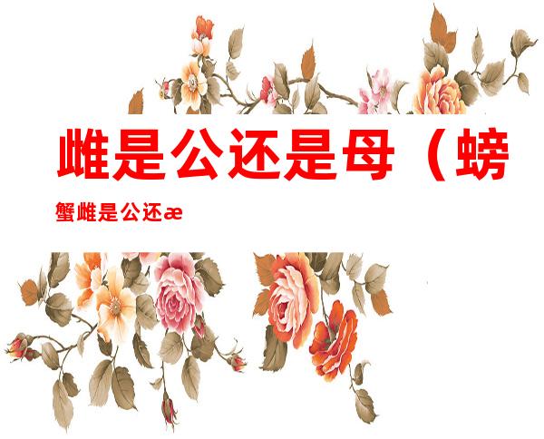 雌是公还是母(螃蟹雌是公还是母)