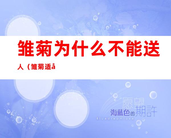 雏菊为什么不能送人(雏菊适合送人吗)