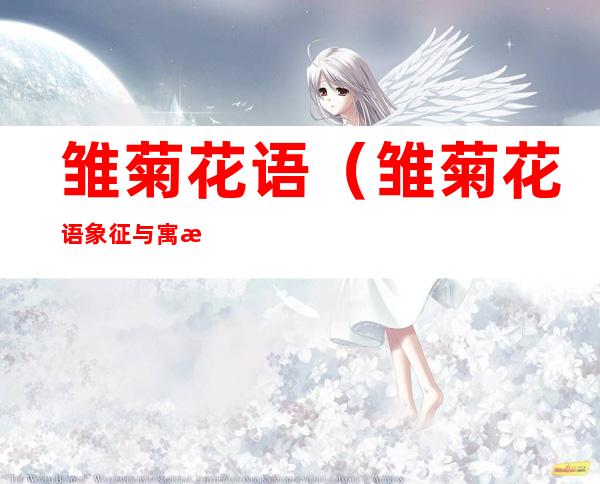 雏菊花语(雏菊花语象征与寓意)
