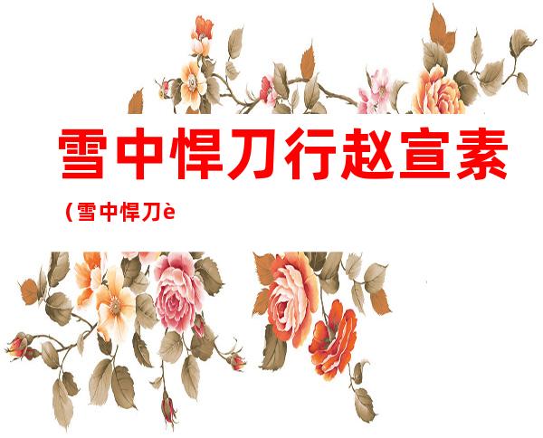 雪中悍刀行赵宣素(雪中悍刀行赵宣素扮演者)