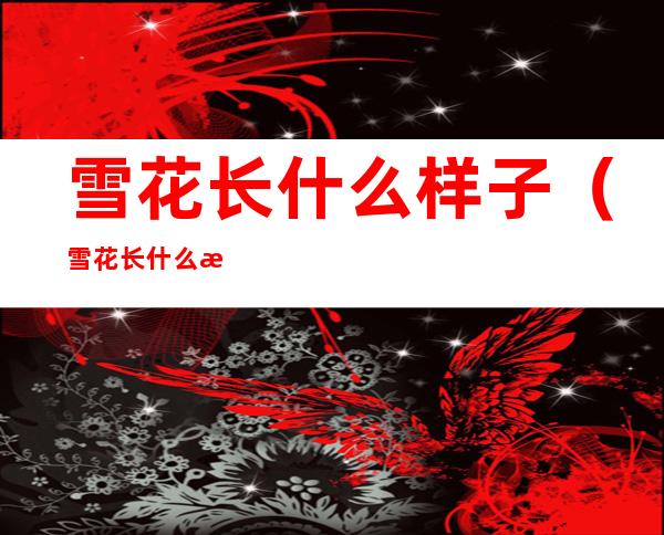 雪花长什么样子（雪花长什么样子视频）
