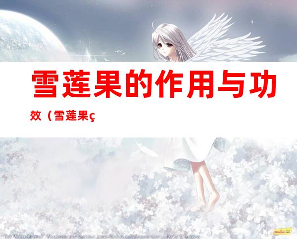 雪莲果的作用与功效(雪莲果的作用与功效与禁忌)
