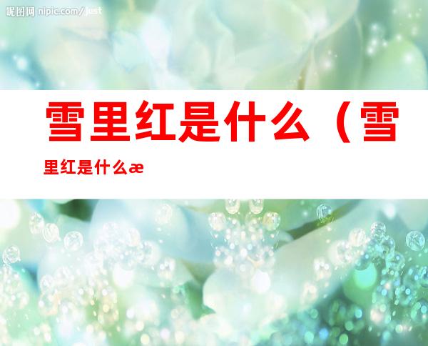 雪里红是什么(雪里红是什么植物)