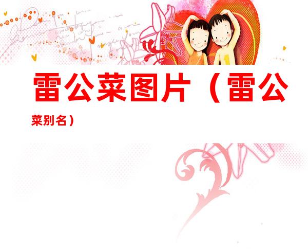 雷公菜图片(雷公菜别名)
