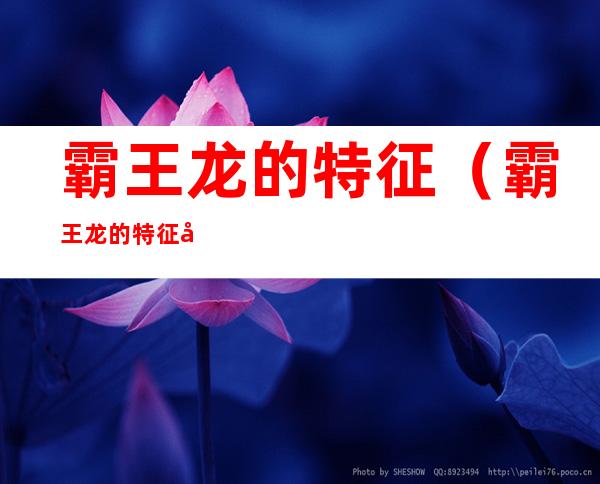 霸王龙的特征(霸王龙的特征和特点)