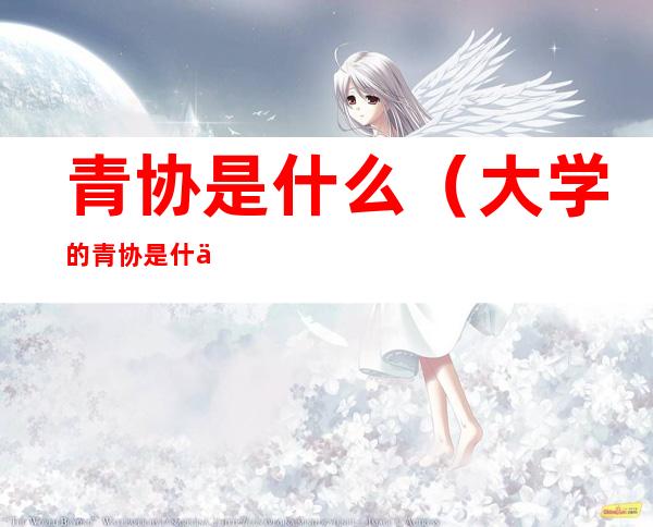 青协是什么(大学的青协是什么)