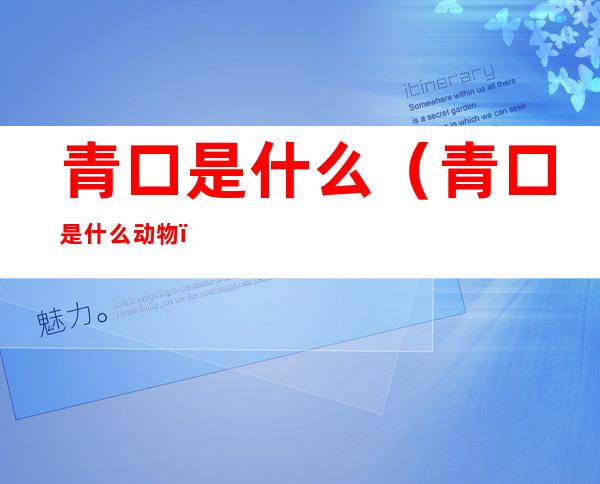 青口是什么(青口是什么动物)