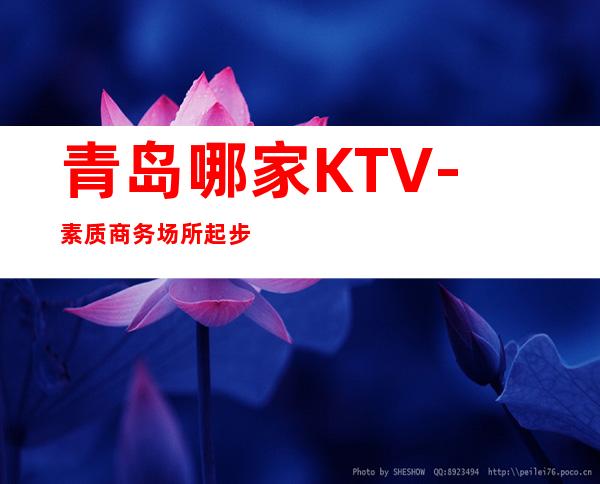 青岛哪家KTV-素质商务场所起步