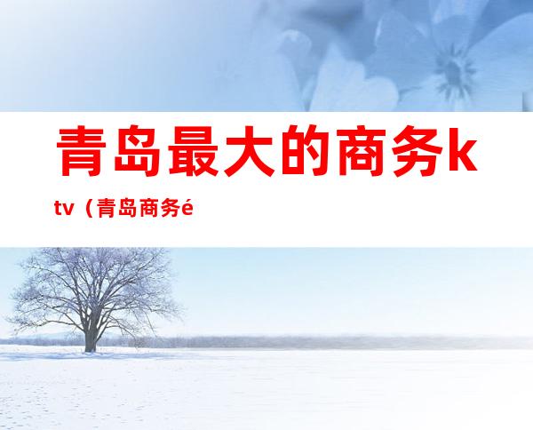 青岛最大的商务ktv（青岛商务酒店排名）