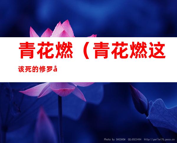 青花燃(青花燃这该死的修罗场)