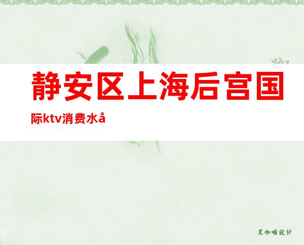 静安区上海后宫国际ktv消费水平(上海静安区KTV)