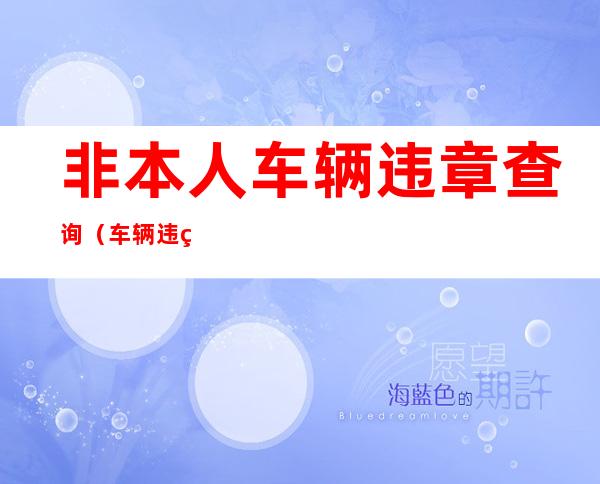 非本人车辆违章查询(车辆违章查询直接输入车牌号)
