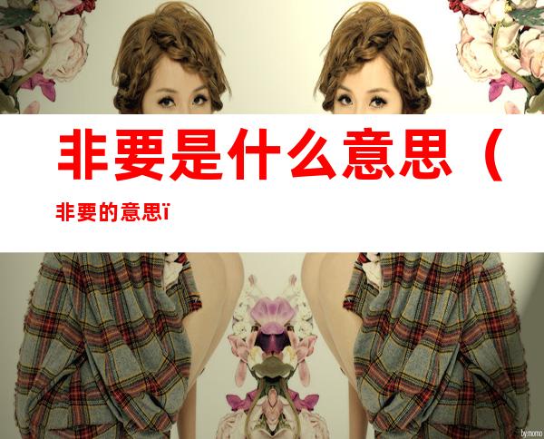 非要是什么意思(非要的意思)