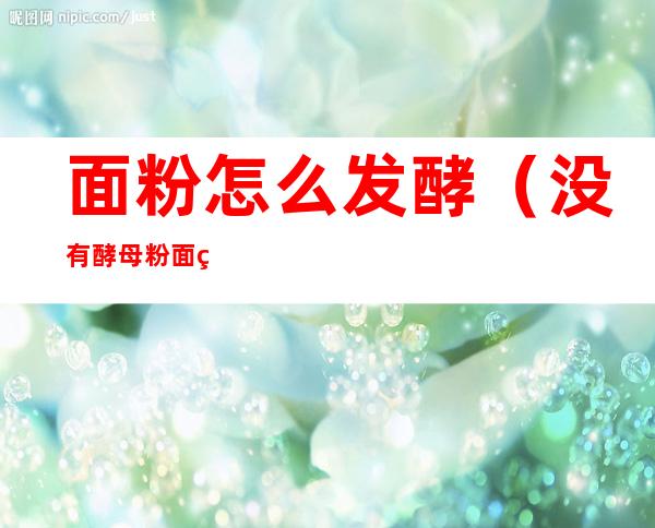 面粉怎么发酵(没有酵母粉面粉怎么发酵)
