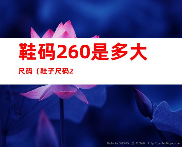 鞋码260是多大尺码(鞋子尺码260是多大)