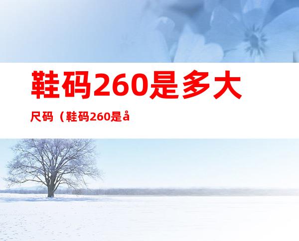 鞋码260是多大尺码(鞋码260是多少厘米)