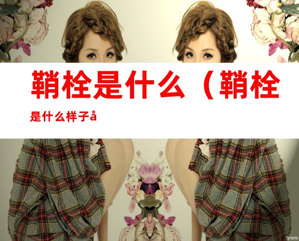 鞘栓是什么(鞘栓是什么样子图片)
