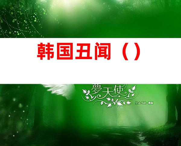 韩国丑闻()
