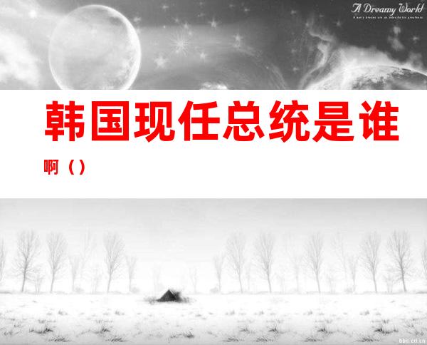 韩国现任总统是谁啊()