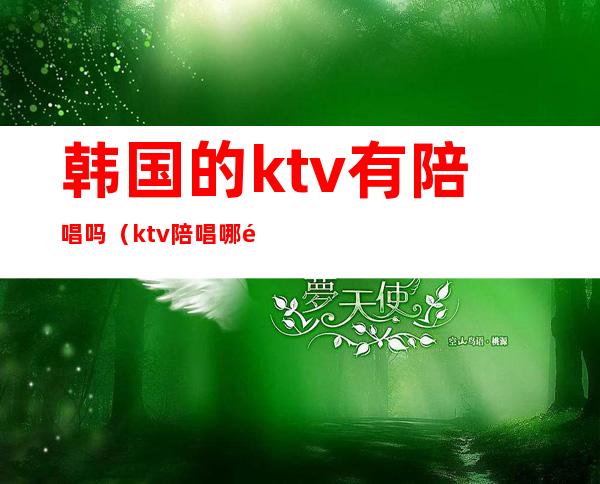 韩国的ktv有陪唱吗(ktv陪唱哪里找)
