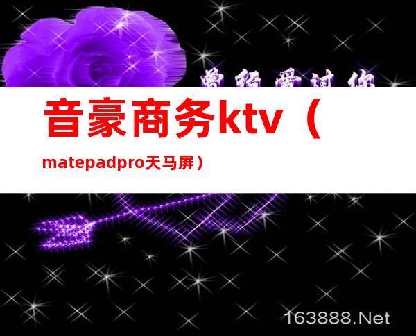 音豪商务ktv(matepadpro天马屏)