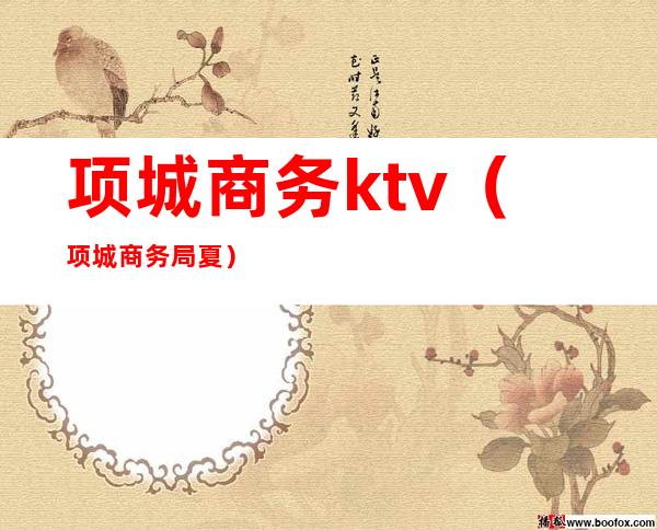 项城商务ktv（项城商务局夏）