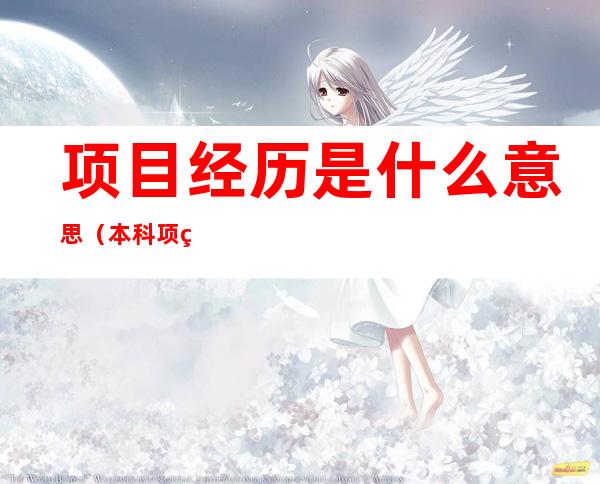 项目经历是什么意思(本科项目经历是什么意思)