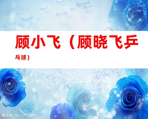 顾小飞（顾晓飞乒乓球）