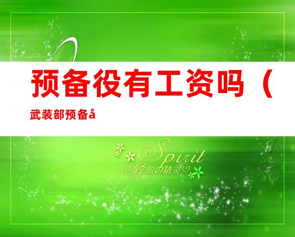 预备役有工资吗(武装部预备役有工资吗)