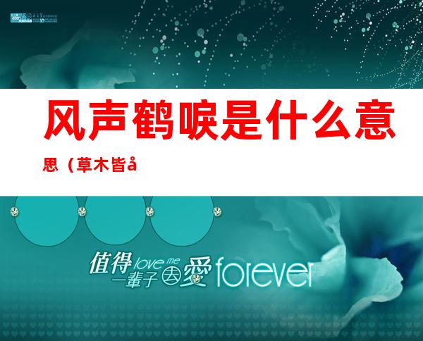 风声鹤唳是什么意思(草木皆兵风声鹤唳是什么意思)