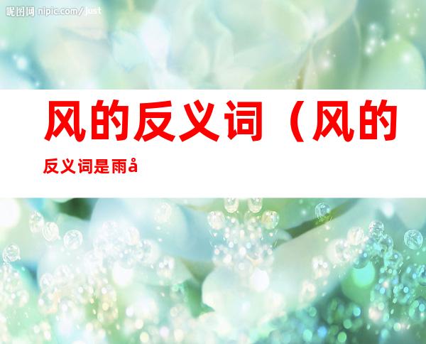 风的反义词(风的反义词是雨吗)