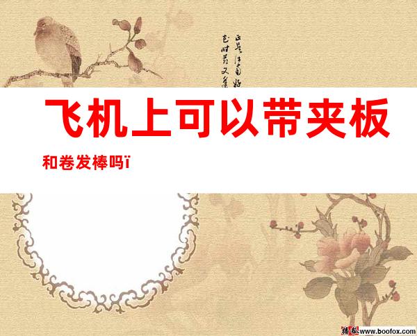 飞机上可以带夹板和卷发棒吗(卷发棒和直板夹可以带上飞机吗)