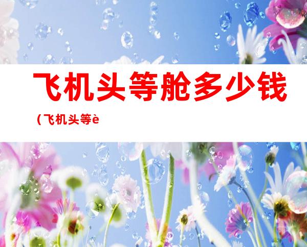 飞机头等舱多少钱（飞机头等舱多少钱一张）