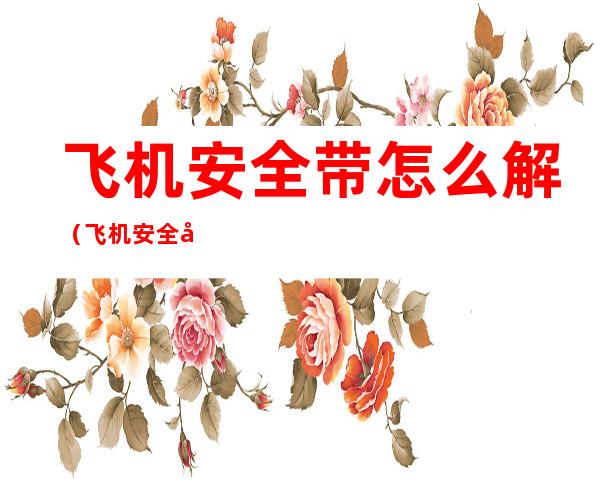 飞机安全带怎么解(飞机安全带怎么解的)