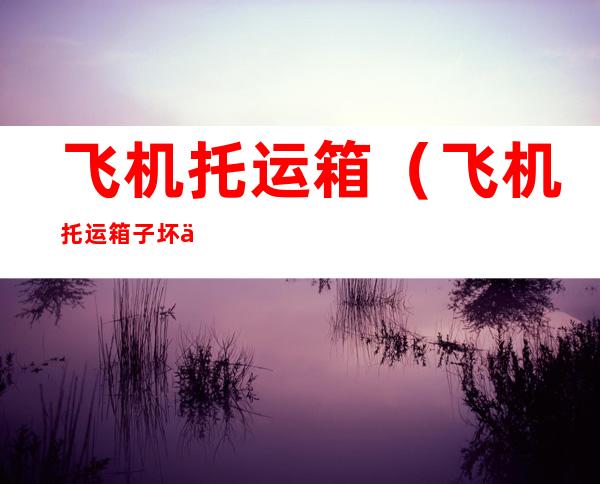 飞机托运箱(飞机托运箱子坏了能赔吗)